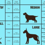 how much chicken for dog by weight kg