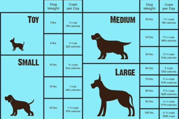 how much chicken for dog by weight kg