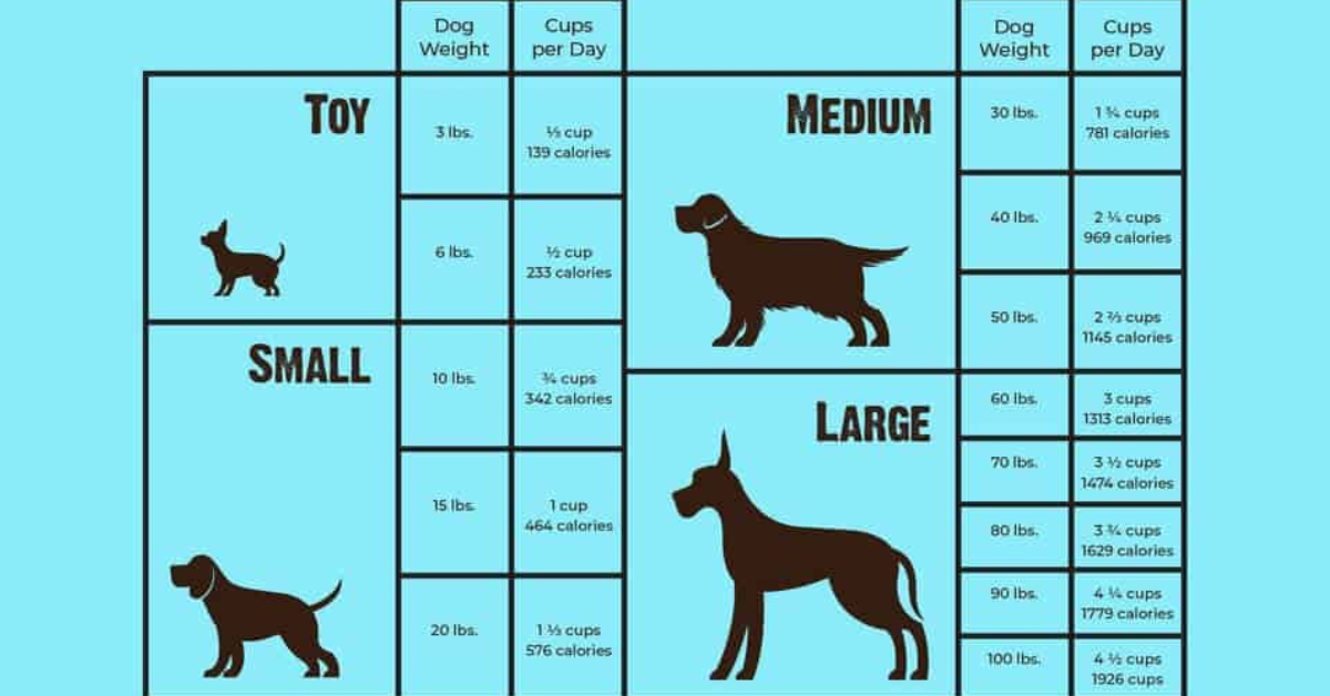 how much chicken for dog by weight kg